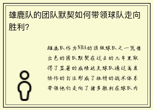 雄鹿队的团队默契如何带领球队走向胜利？