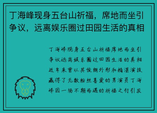 丁海峰现身五台山祈福，席地而坐引争议，远离娱乐圈过田园生活的真相